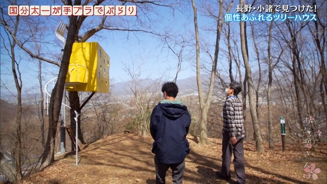 長野県小諸市 オオムラサキのツリーハウス 国分太一のお気楽さんぽ